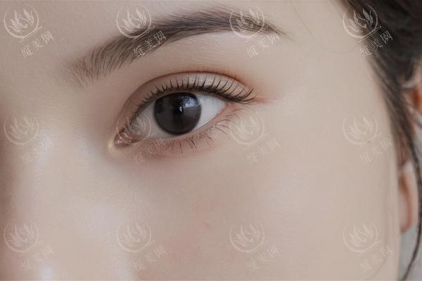 苹果型肚子大？减肚子的新手小白指南！
